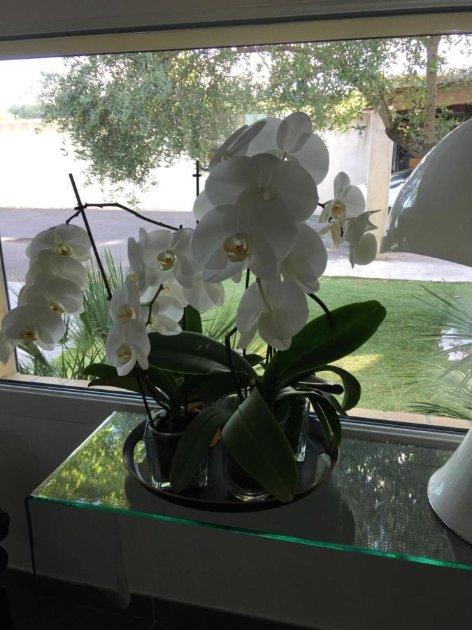 La Villa Mediterranee Wellness Spa Piscine Saint-Drezery Екстер'єр фото
